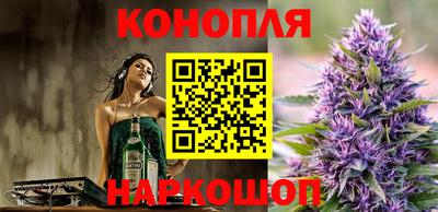 сатива Ирбит