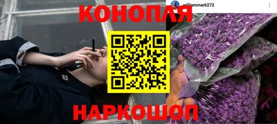 каннабис Заводоуковск