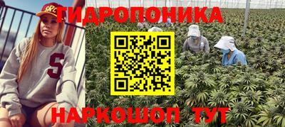 мдма Заволжье