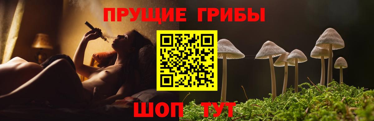 Галлюциногенные грибы Cubensis  Вход с VPN  Псилоцибиновые грибы мухоморы  Лесосибирск 